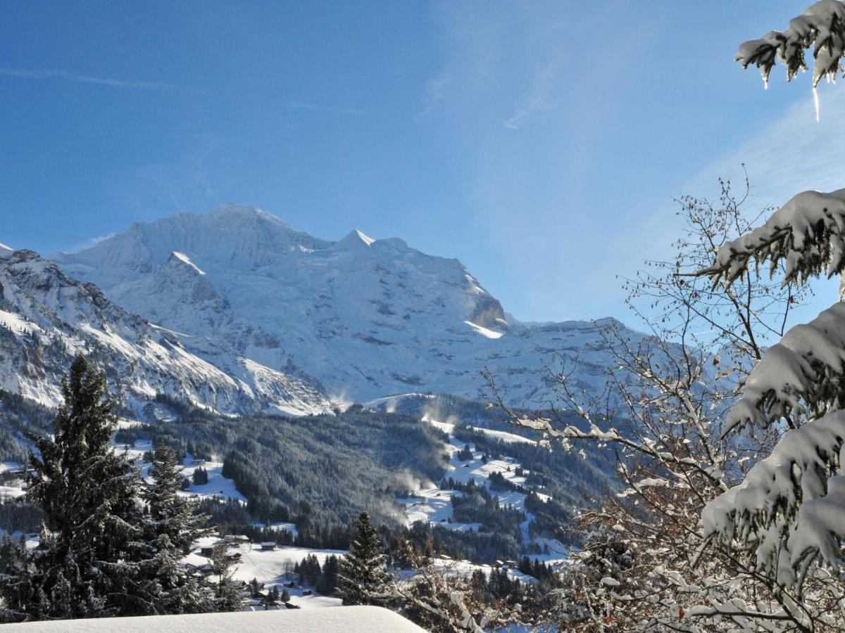 Apartment Silberhorn-1 By Interhome Wengen Zewnętrze zdjęcie